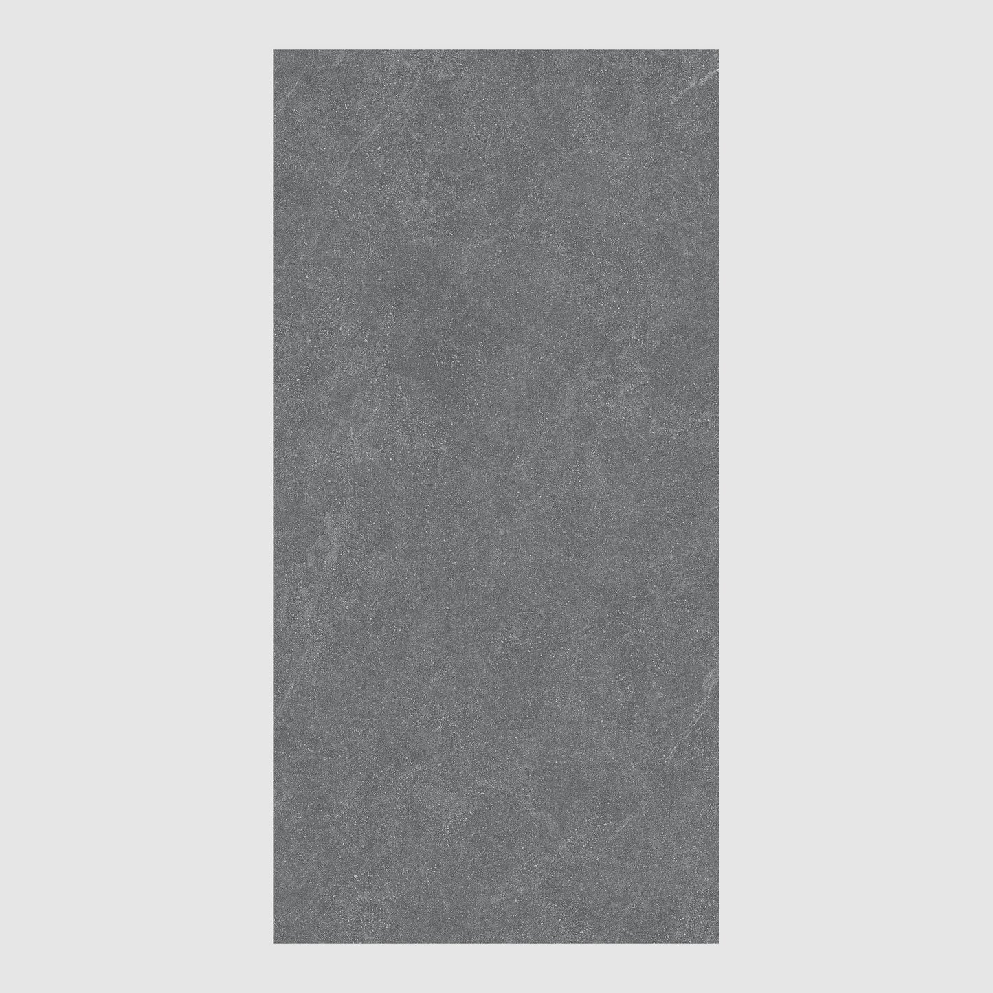 Matte Finish Tiles 600x1200x10mm Floor Tile - RO612CP3